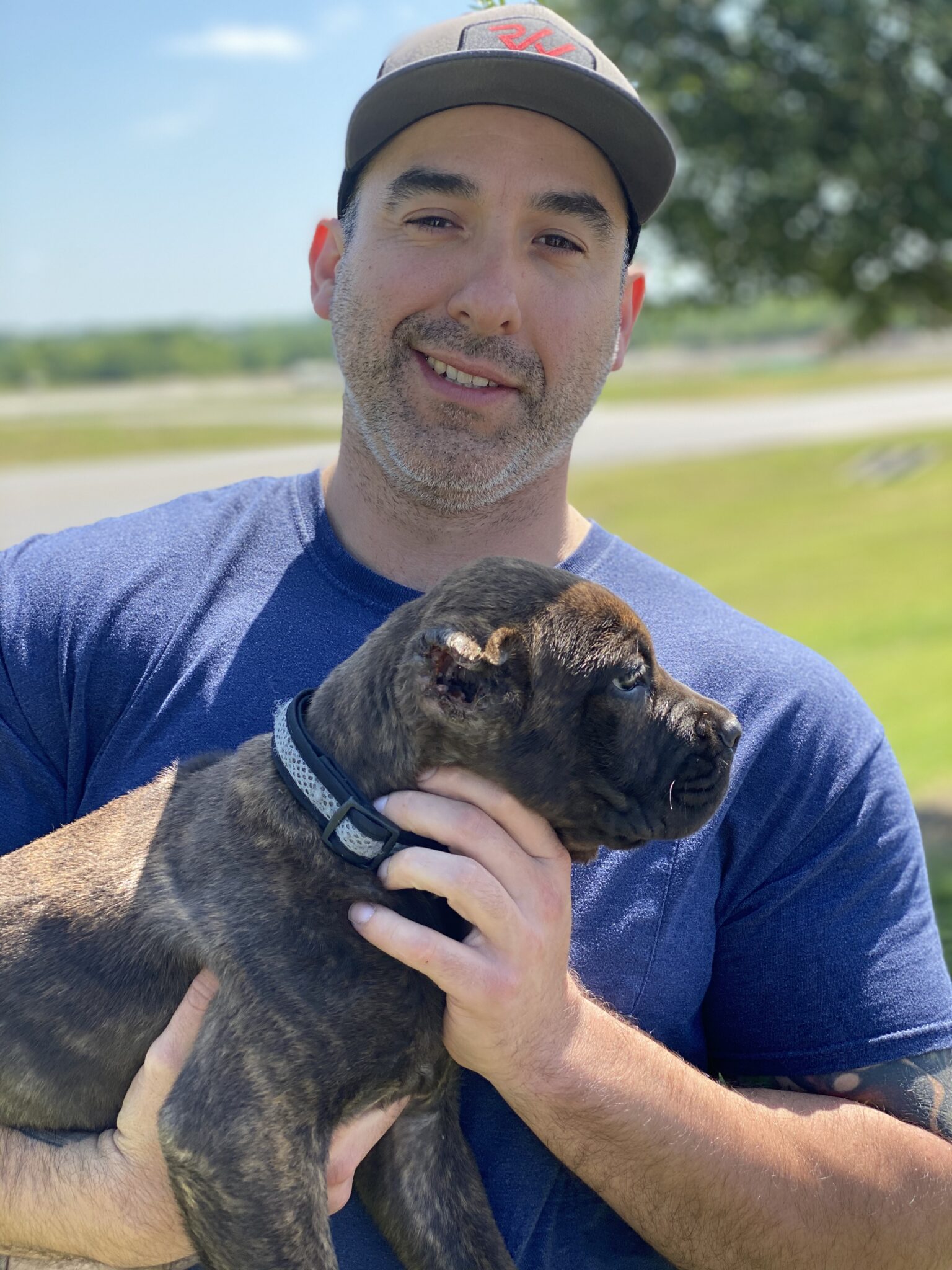 True Believers Cane Corso customer photo - cancorsofamily3