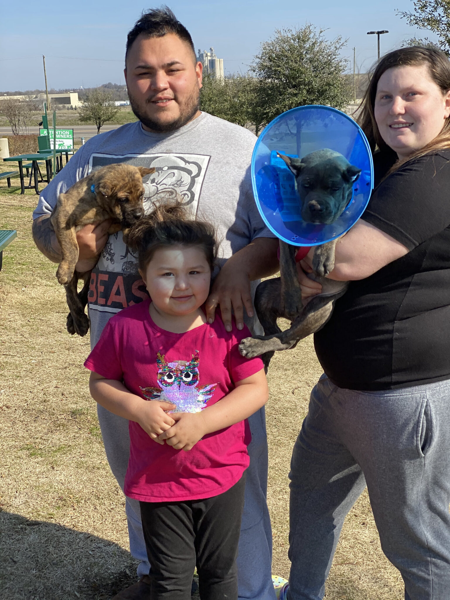 True Believers Cane Corso customer photo - cancorsofamily4