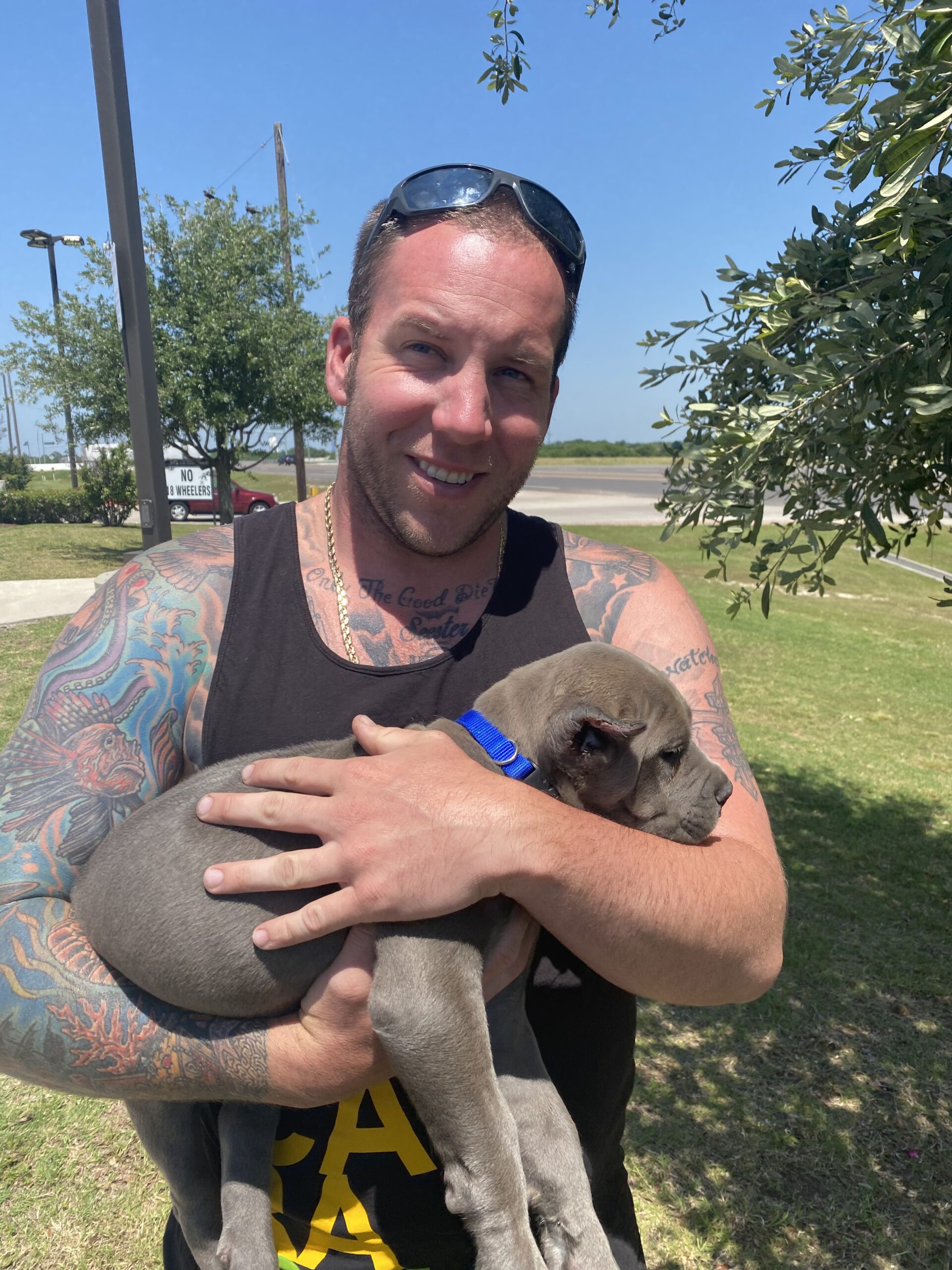 True Believers Cane Corso customer photo - canecorsofamily.9