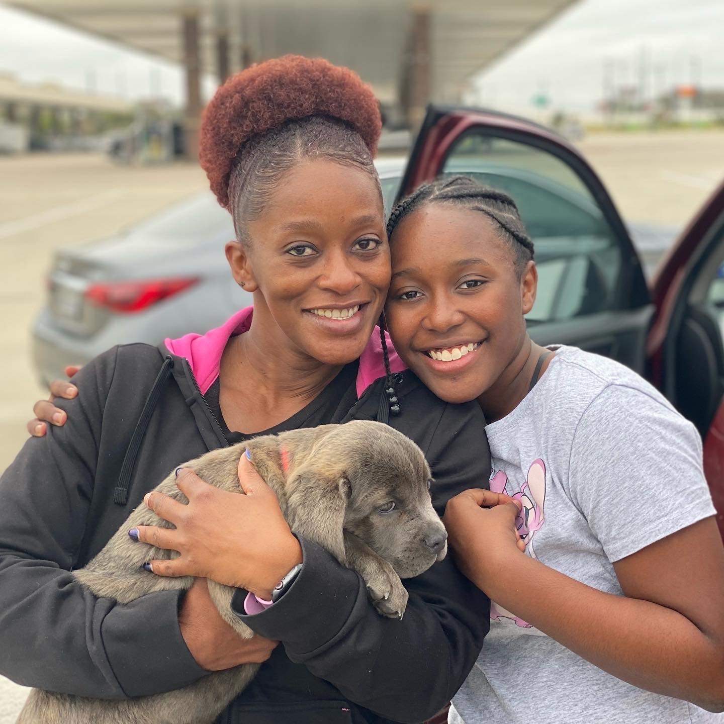 True Believers Cane Corso customer photo - canecorsofamily7